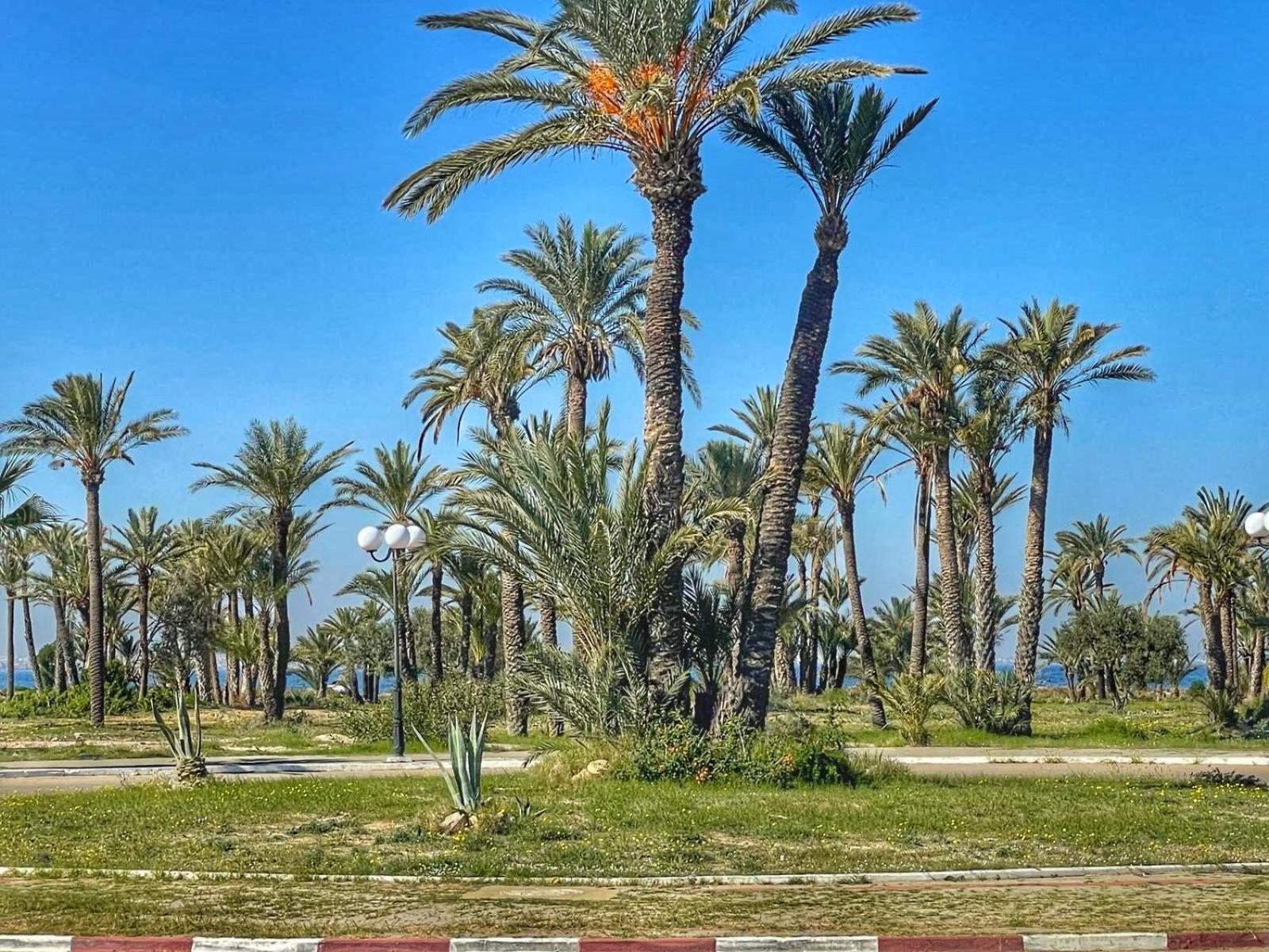 דירות Monastir Bord De Mer Palais Presidentiel מראה חיצוני תמונה